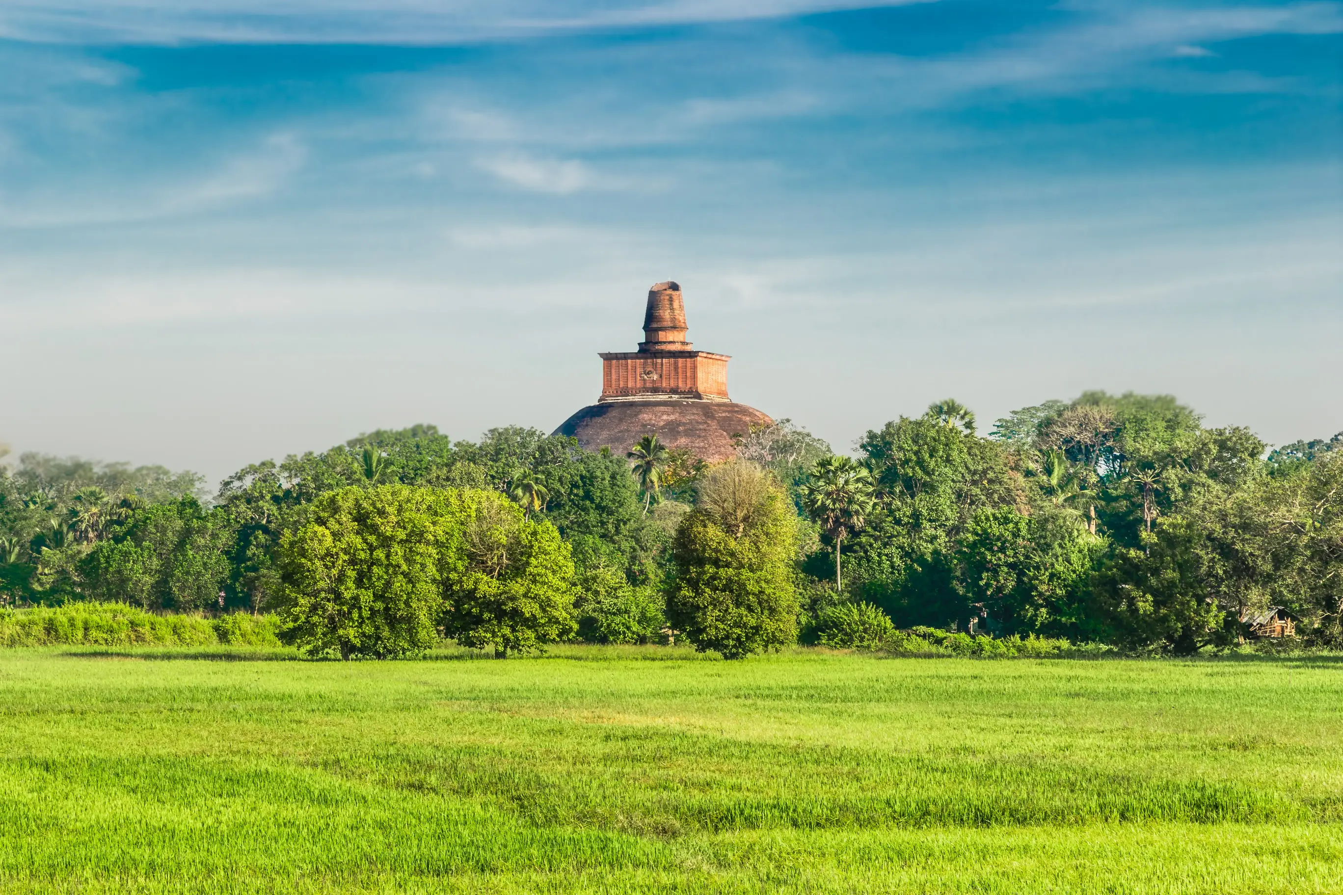 pinnawala